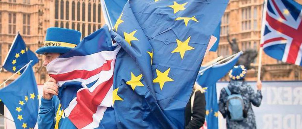 Für Europa: Anti-Brexit-Proteste am Mittwoch vor dem Parlament in London.