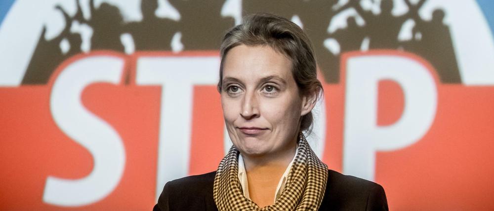 Die Fraktionsvorsitzende Alice Weidel und ihre AfD kämpfen im Bundestag gegen den Migrationspakt.