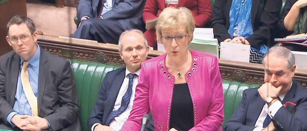 Verteidigt ihre Regierung. Tory-Ministerin Andrea Leadsom. 
