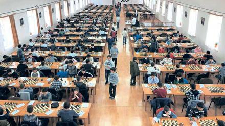Volle Konzentration. In Armeniens Schachakademie in der Hauptstadt Eriwan trainieren die Kinder dreimal pro Woche – die Jüngsten sind fünf Jahre alt.