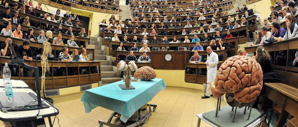 Medizinstudium. Die Zahl der Bewerberinnen und Bewerber ist seit langem höher als die Zahl der Studienplätze.