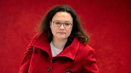Andrea Nahles, Fraktionsvorsitzende und Parteichefin der SPD