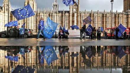 Demonstranten protestieren mit EU-Flaggen gegen den Brexit vor dem Parlament in London.
