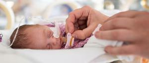 Ein vier Wochen altes Frühchen.