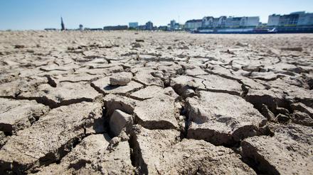Bilder, die man aus Wüsten kennt, aufgenommen da, wo der Rhein mal floss.