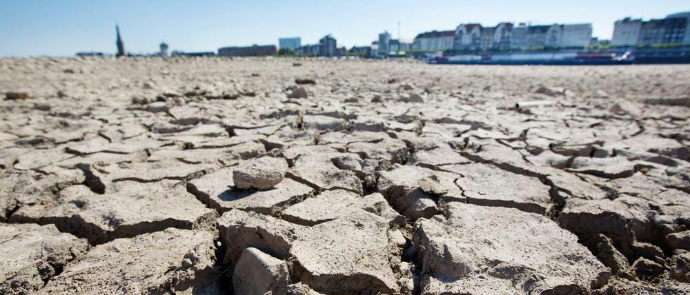 Bilder, die man aus Wüsten kennt, aufgenommen da, wo der Rhein mal floss.