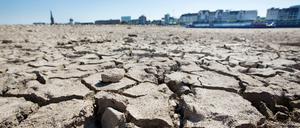 Bilder, die man aus Wüsten kennt, aufgenommen da, wo der Rhein mal floss.