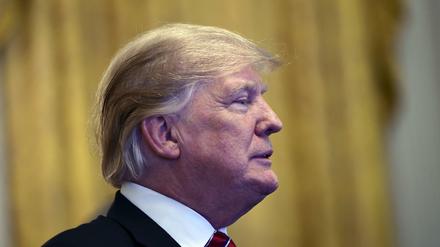 Donald Trump im Weißen Haus (Archivbild)