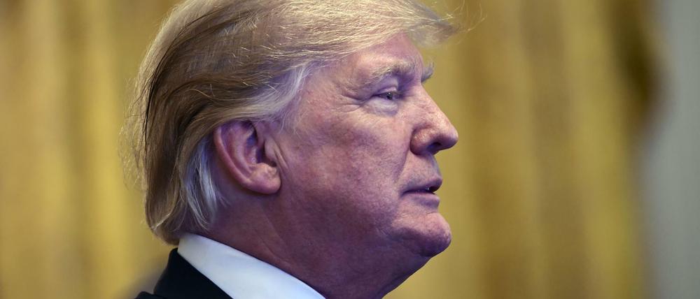 Donald Trump im Weißen Haus (Archivbild)
