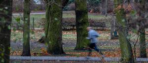 Besucher im Bürgerpark Pankow freuen sich über gepflegte Grünanlagen. Künftig sollen sich Parkmanager in den Bezirken darum kümmern.