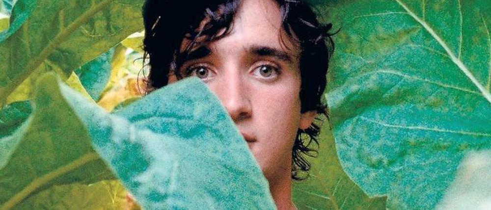 Italien oder Polen? Als Filmpreis-Favoriten gelten Alice Rohrwachers Sozialmärchen „Glücklich wie Lazzaro“ (Bild) und Pawel Pawlikowskis „Cold War“. Deutschland ist in der Hauptkategorie diesmal nicht dabei.