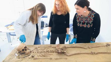 Knochenjob. Vor knapp 70 Jahren wurde das Skelett entdeckt, viele Geheimnisse hat es aber noch nicht preisgegeben.