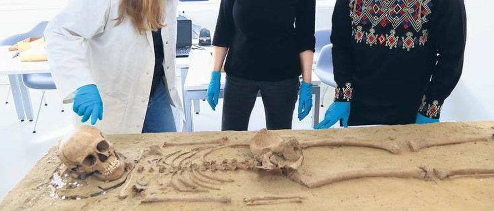Knochenjob. Vor knapp 70 Jahren wurde das Skelett entdeckt, viele Geheimnisse hat es aber noch nicht preisgegeben.