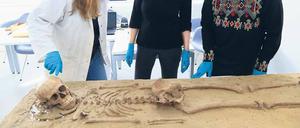 Knochenjob. Vor knapp 70 Jahren wurde das Skelett entdeckt, viele Geheimnisse hat es aber noch nicht preisgegeben.