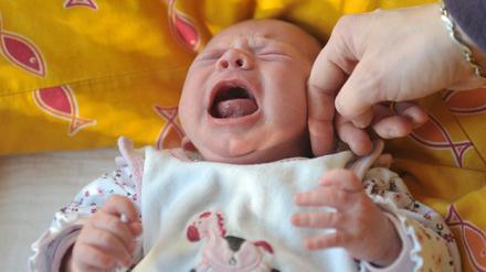 Streicheln – etwa vor medizinisch notwendigen Maßnahmen – wirkt auf Babys schmerzlindernd. Aber auf das Tempo kommt es an.