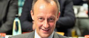 Der Ex-Unionsfraktionschef Friedrich Merz.