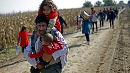 Migranten gehen 2015 auf die kroatische Grenze zu. Nach Angaben einer Menschenrechtsorganisation kann es ihnen inzwischen in Kroatien passieren, dass sie illegal nach Bosnien abgeschoben werden. 