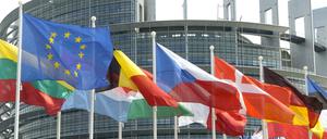 Flaggen der Mitgliedsländer der Europäischen Union wehen vor dem Europa-Parlament in Straßburg.