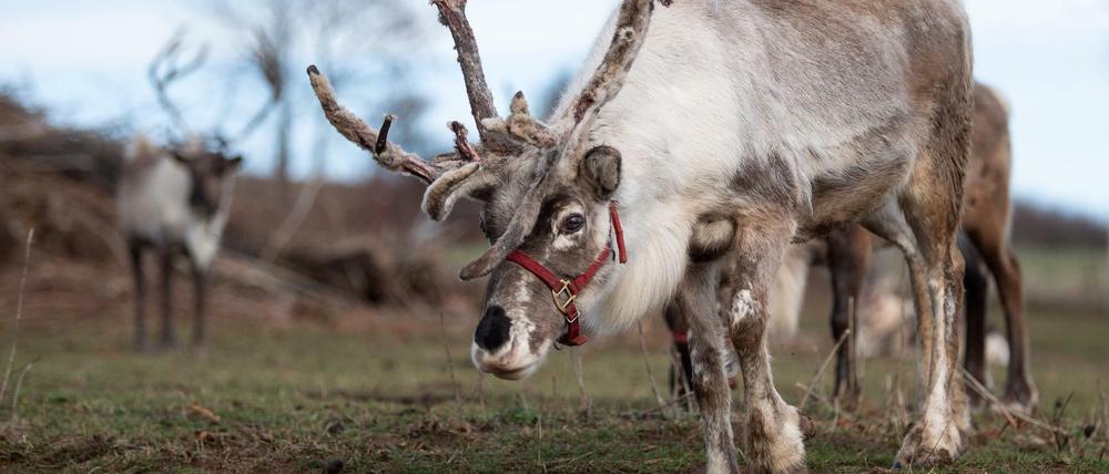 Pupst zu viel? Nicht doch, findet Andi Scheuer.