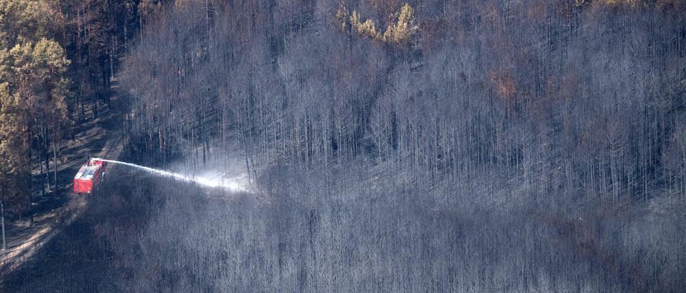 In Treuenbrietzen in Brandenburg haben Waldbrände ihre Spuren hinterlassen.