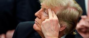 Die Politik des US-Präsidenten Donald Trump gefällt der Nonne nicht.