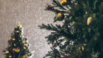 Verregneter Advent. Aber wer ein paar Zentimeter tief gräbt, steht im Staub.