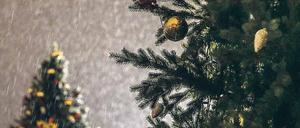 Verregneter Advent. Aber wer ein paar Zentimeter tief gräbt, steht im Staub.