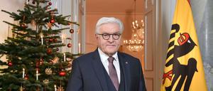 Bundespräsident Frank-Walter Steinmeier im Schloss Bellevue 