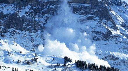 Eine Lawine geht vom Berg ab. (Symbolbild)