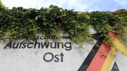 Überwuchert. Nicht für alle Deutschen ging es nach 1989 aufwärts.