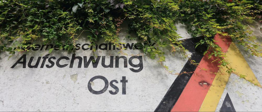 Überwuchert. Nicht für alle Deutschen ging es nach 1989 aufwärts.
