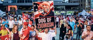 Ein Erdogan-Anhänger mit einem Plakat gegen den Prediger Fethullah Gülen bei einer Demonstration im Juli 2016 in Istanbul.