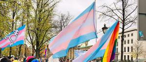 Demo für Transgender-Rechte in Berlin. 