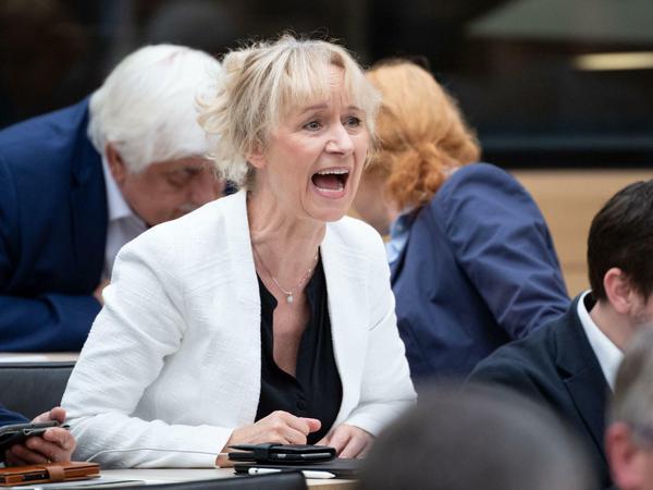 Christina Baum im Stuttgarter Landtag. 