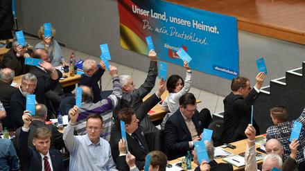 Landesparteitag der AfD Sachsen.