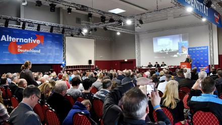 Die Mitgliederversammlung der Brandenburger AfD.