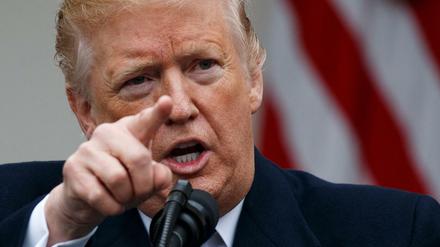 Donald Trump, Präsident der USA, spricht nach einem Gespräch mit führenden Kongressmitgliedern über Grenzsicherheit im Rosengarten des Weißen Hauses. 