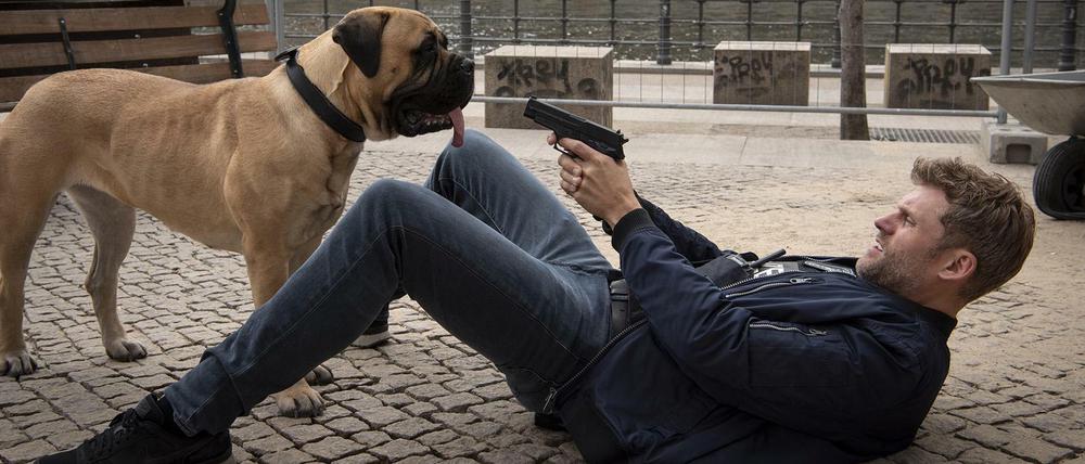 Pfoten hoch! Der künftige Polizeihund Rocky und Kommissar Elias Decker (Jens Atzorn) müssen sich in „Der Bulle und das Biest“ erst näherkommen.