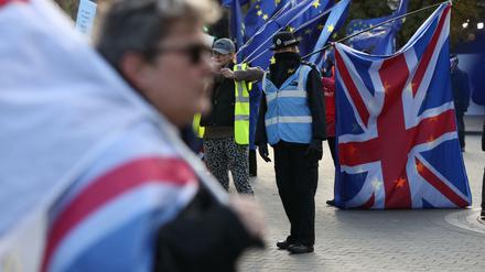 Brexit-Demonstranten vor dem Parlament in London.