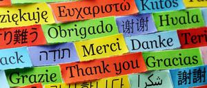 Es sind vor allem die kleinen Dinge, für die wir dankbar sein können. Wer das jeden Tag verinnerlicht, der werde insgesamt glücklicher, sagt die Forschung.