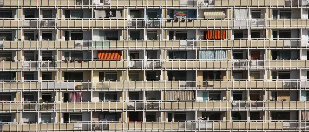Blick auf die Fensterfront eines Dresdener Hochhauses.