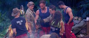 Chris Töpperwien (3.v.r.) hat eine Spinne entdeckt und regt sich furchtbar darüber auf. Die anderen Campbewohner sehen die Situation eher gelassen. 