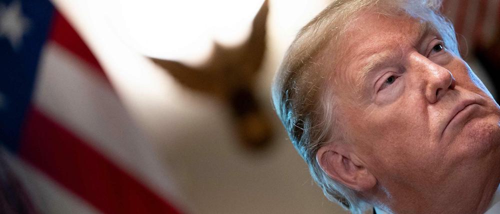 US President Donald Trump 