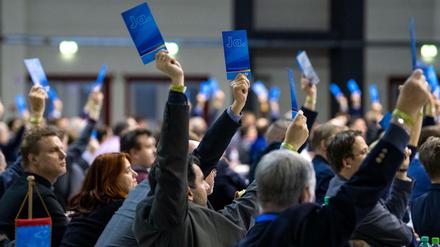 Riesa war der zweite Parteitag den die AfD zur Europawahl abhielt.