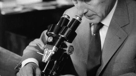 Ernst Jünger im Jahr 1960, bei der Betrachtung seiner Insektensammlung.