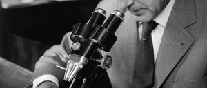 Ernst Jünger im Jahr 1960, bei der Betrachtung seiner Insektensammlung.