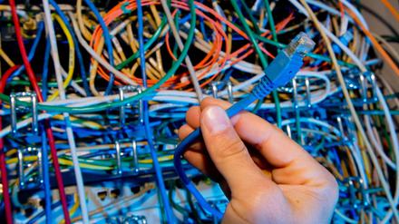 Eine Hand greift in einen Serverschrank mit Netzwerkkabeln. (Symbolbild)