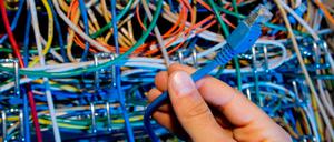 Eine Hand greift in einen Serverschrank mit Netzwerkkabeln. (Symbolbild)