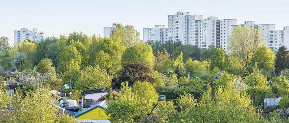 Bienenoasen. Mehr Grün in der Stadt erhöht die Bestäubervielfalt.