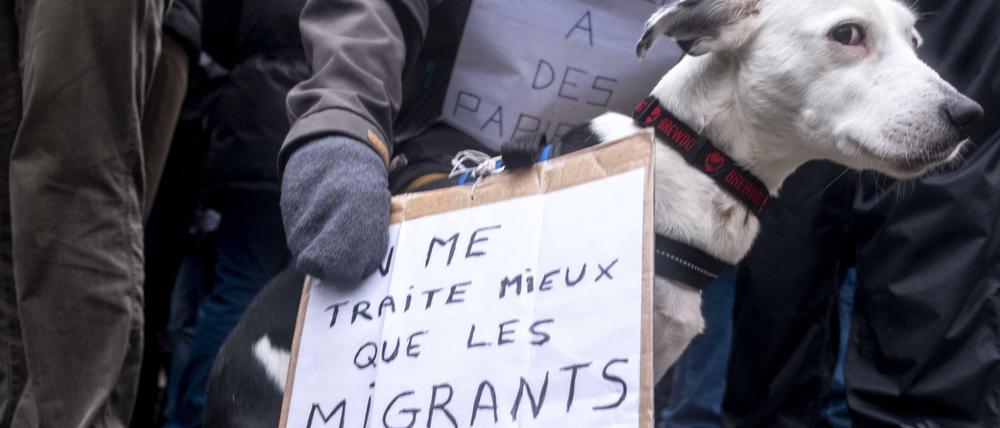 "Ich werde besser behandelt als die Migranten" - Szene einer Demonstration in Brüssel vergangene Woche